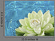 artificial white water lily flower Wall Mural