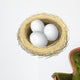 Layered vector illustration of nest eggs Wall Decal