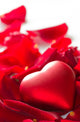Red Rose Petals with