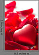 Red Rose Petals with
