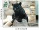Bagira Panther Wall Decal