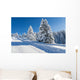 Snowy Fir Trees