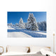 Snowy Fir Trees