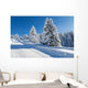 Snowy Fir Trees