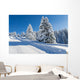 Snowy Fir Trees