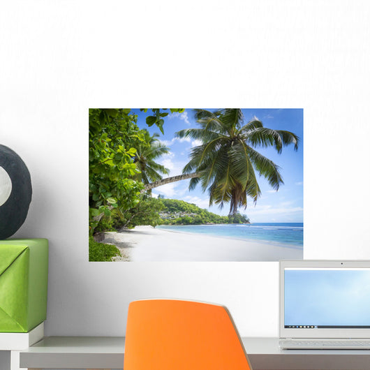 White Coral Beach Sand
