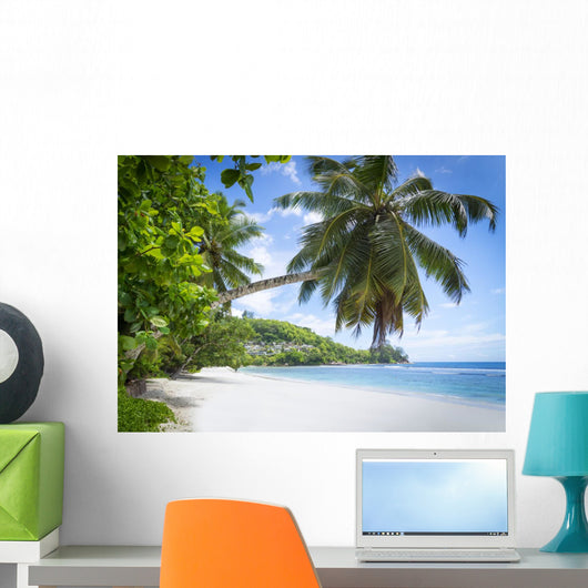 White Coral Beach Sand