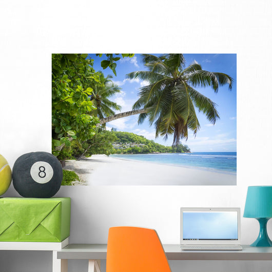 White Coral Beach Sand