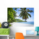 White Coral Beach Sand