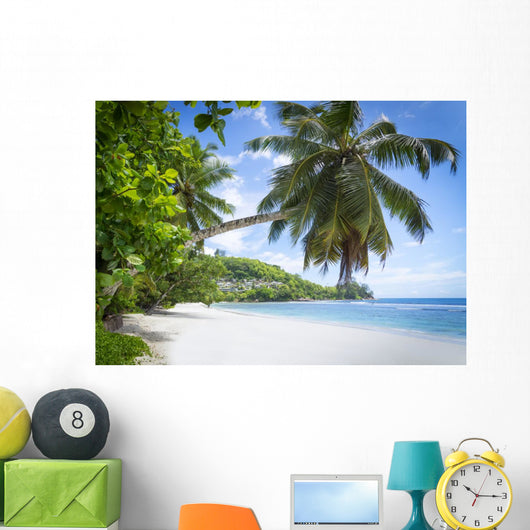White Coral Beach Sand