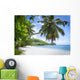 White Coral Beach Sand