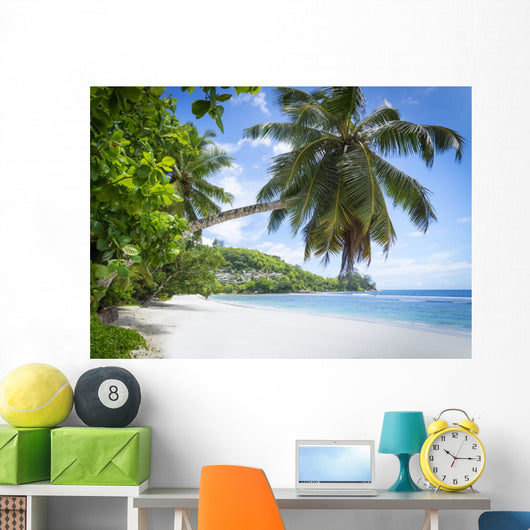 White Coral Beach Sand