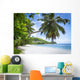 White Coral Beach Sand