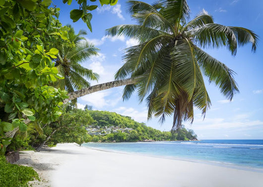 White Coral Beach Sand