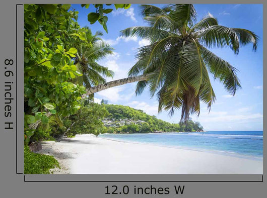White Coral Beach Sand
