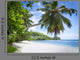 White Coral Beach Sand
