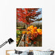 Colorful pumpkins and gourds Wall Mural