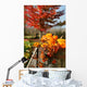 Colorful pumpkins and gourds Wall Mural