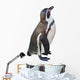 Pinguin Wall Decal
