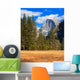 Yosemite Landscape with Half Wall Mural