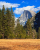 Yosemite Landscape with Half Wall Mural