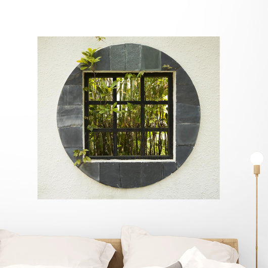 Window