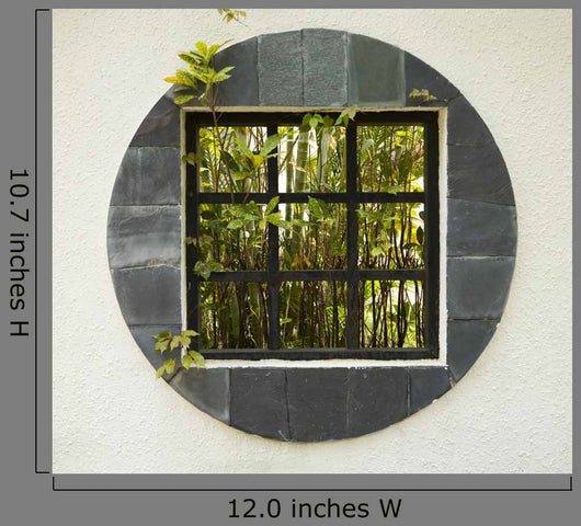 Window