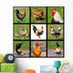 Nine Photos Mosaic Roosters