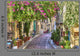 Traditional Houses Plaka Area