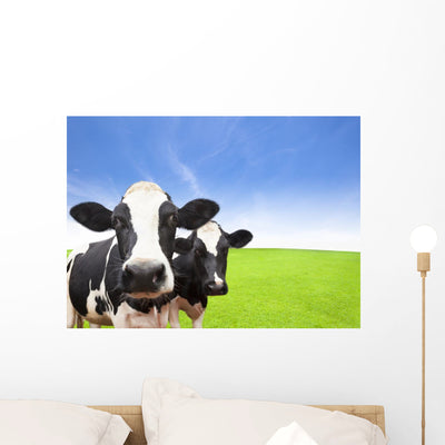 Cow Green Grass Field shown on a wall