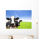 Cow Green Grass Field