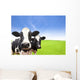 Cow Green Grass Field