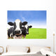Cow Green Grass Field
