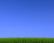 Blue Sky on Grass Wall Mural
