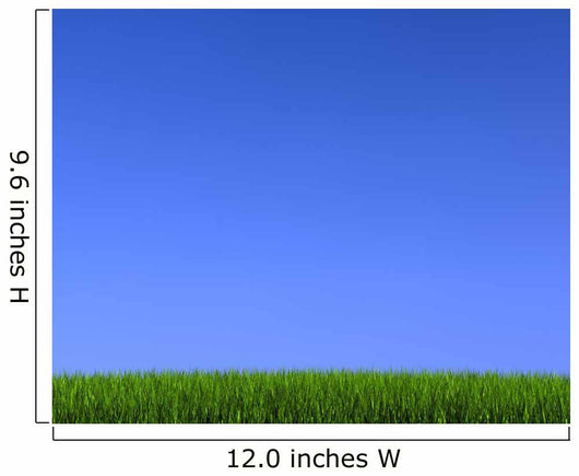 Blue Sky on Grass Wall Mural