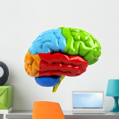Colorful Brain Wall Decal shown on a wall