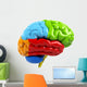 Colorful Brain Wall Decal