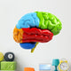 Colorful Brain Wall Decal