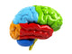 Colorful Brain Wall Decal