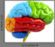 Colorful Brain Wall Decal
