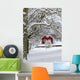 Typical Swedish Landscape Snowy