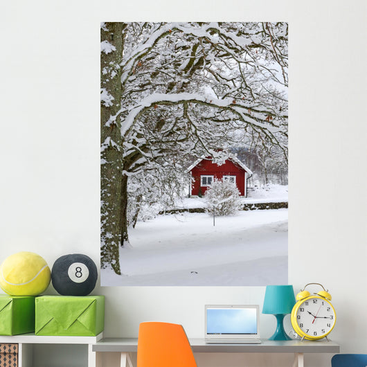 Typical Swedish Landscape Snowy