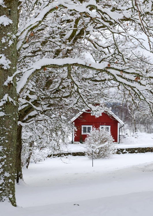 Typical Swedish Landscape Snowy