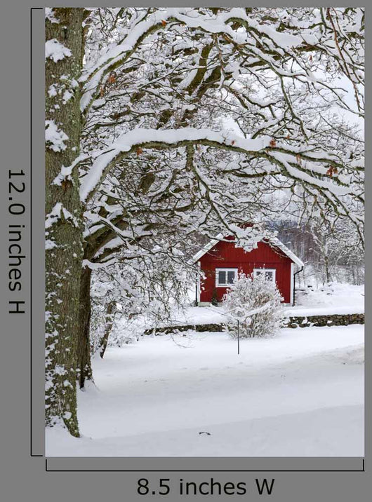 Typical Swedish Landscape Snowy