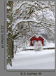 Typical Swedish Landscape Snowy