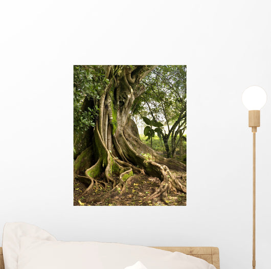 tree Wall Mural
