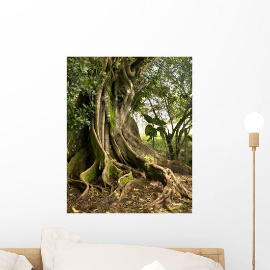 tree Wall Mural