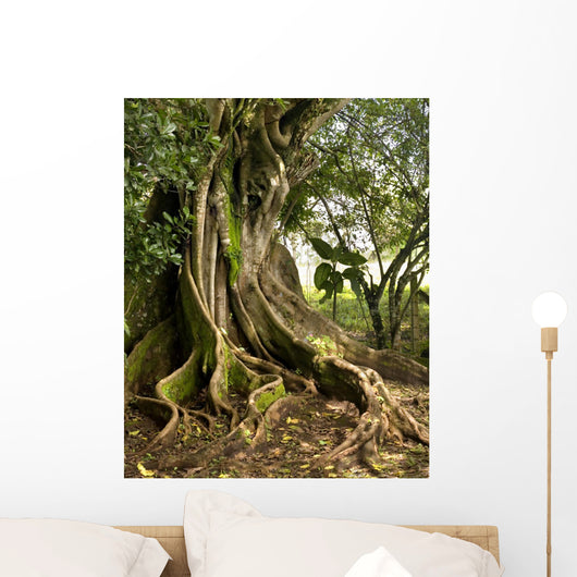 tree Wall Mural