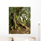 tree Wall Mural
