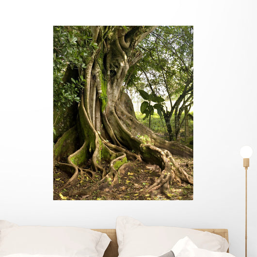 tree Wall Mural